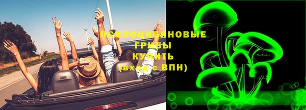 apvp Алзамай