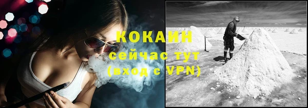 гашик Алексин