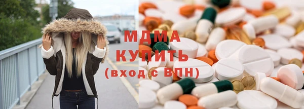 гашик Алексин