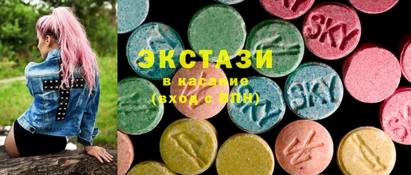гашик Алексин