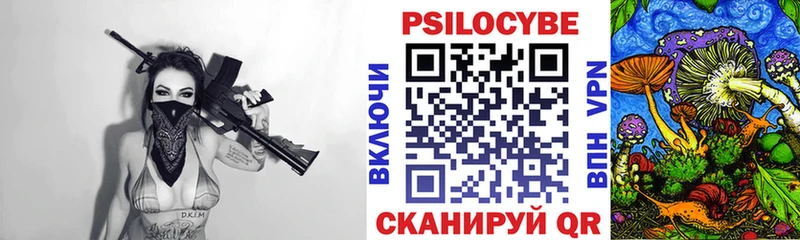 где найти   Каргополь  Галлюциногенные грибы ЛСД 